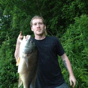 Meet your Posher, Steve